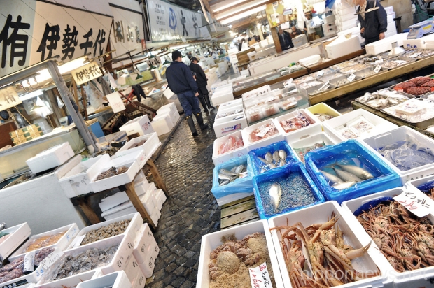 tsukiji-fish-market-feature-6.jpg
